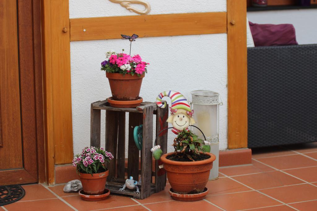 Haus Winkelchen Vila Cochem Exterior foto